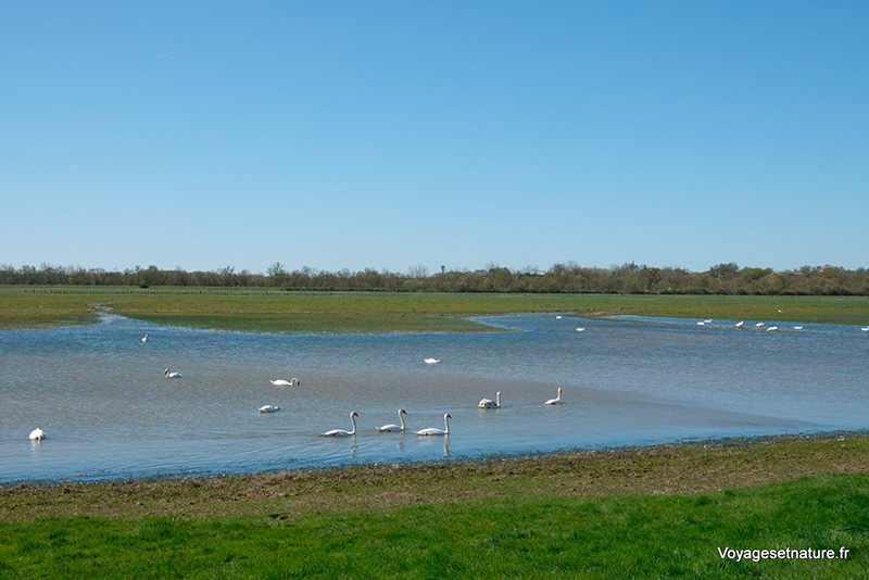 Sortie Communal de Lairoux