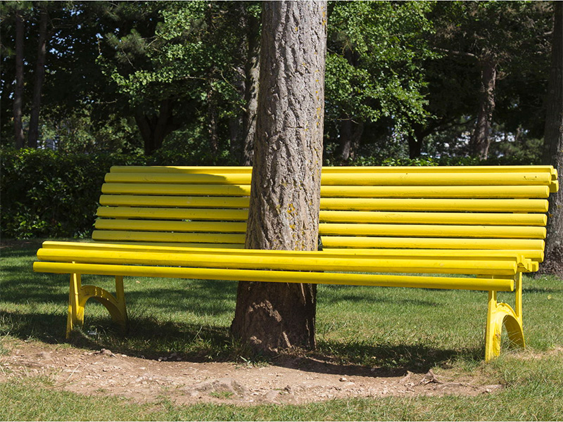 Thème "insolite" en Présentiel 