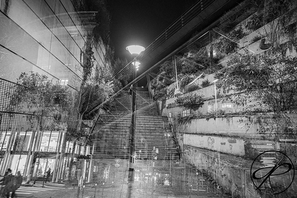 Thème libre  et Galette des Rois en Présentiel 