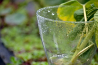 Thème libre en Présentiel 